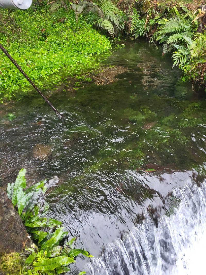ですですさんの極楽温泉 匠の宿のサ活写真