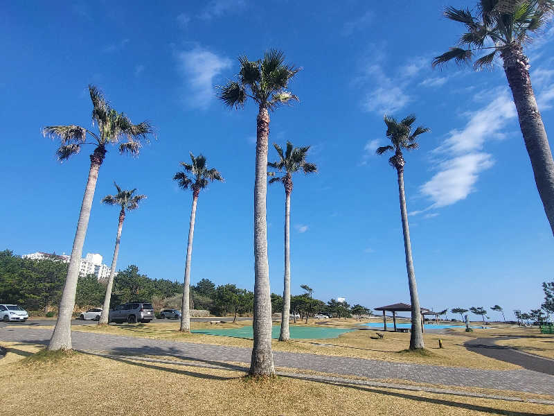 ですですさんのスパぱうぱうのサ活写真