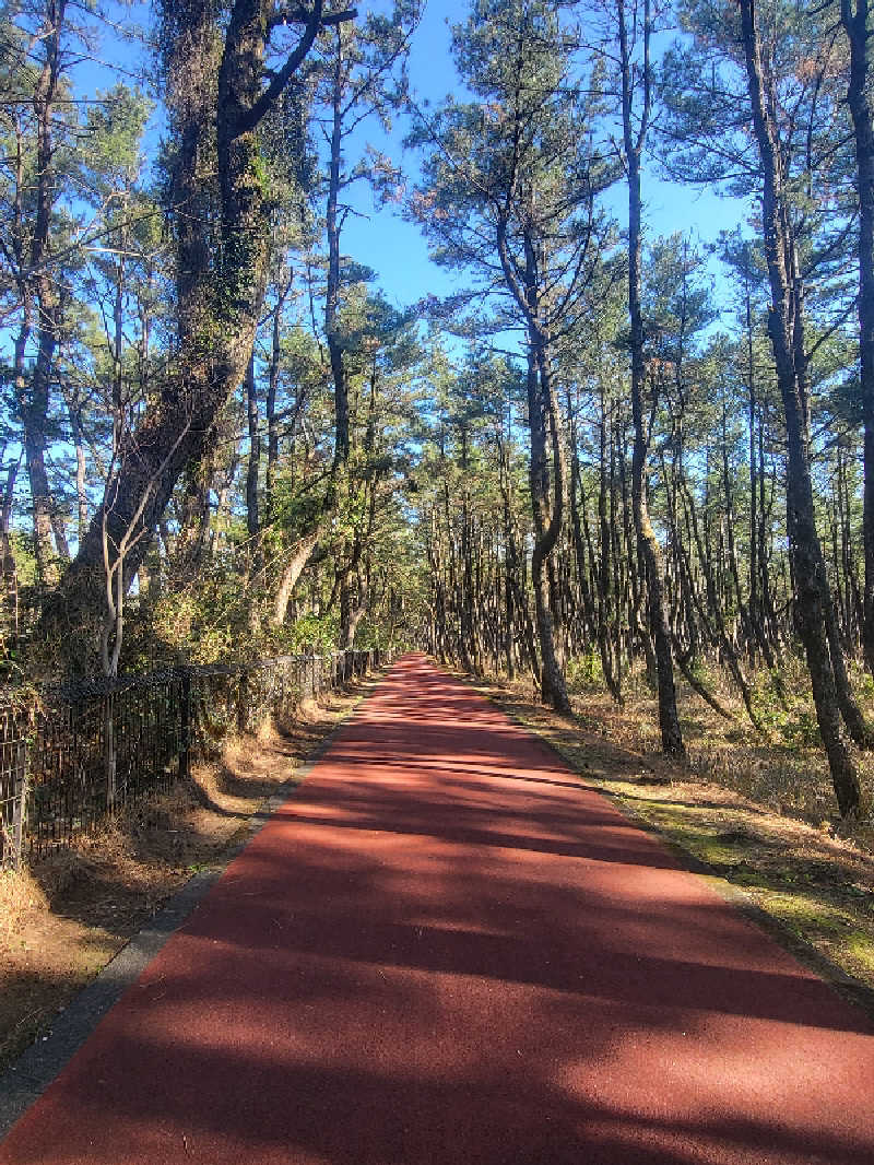 ですですさんのスパぱうぱうのサ活写真