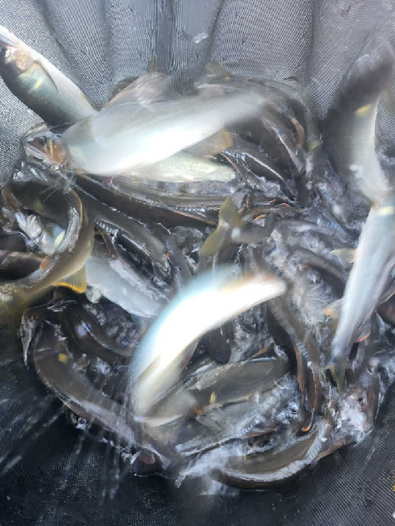 ですですさんの西米良温泉ゆた～と カリコボーズの湯のサ活写真