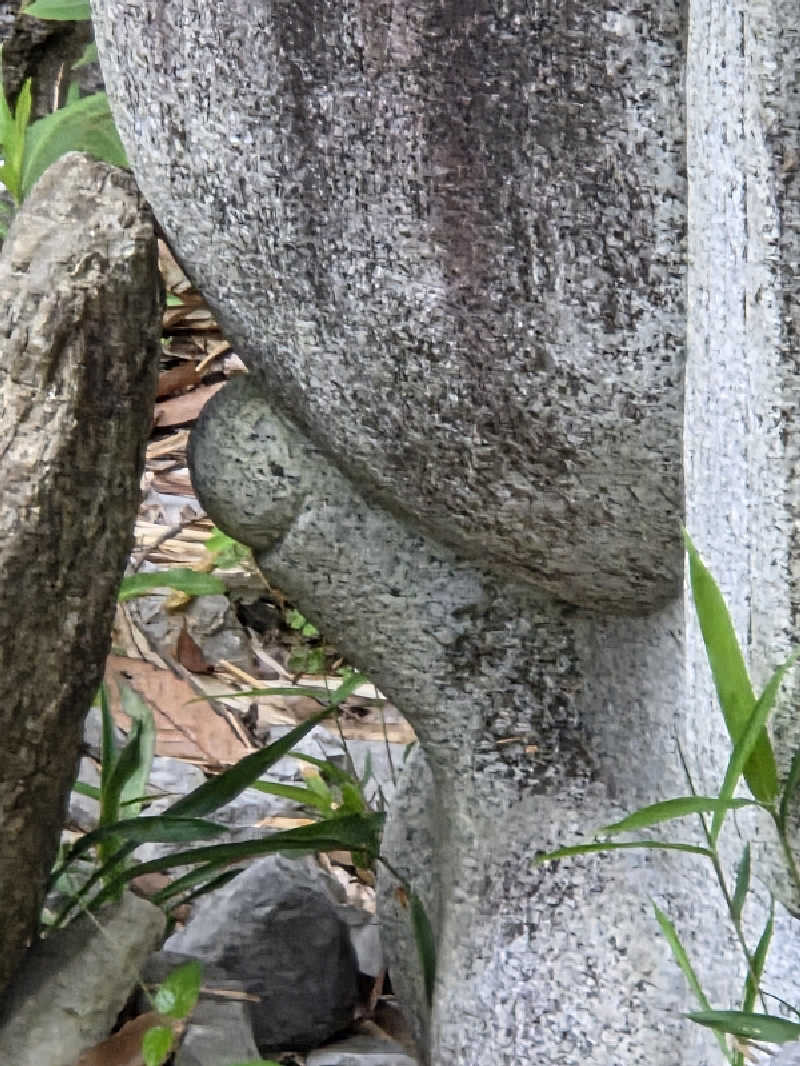 ですですさんの天宿の杜 桂月のサ活写真
