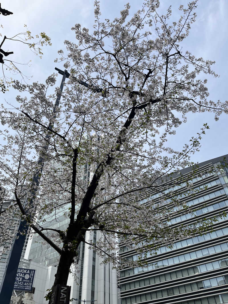 サウナーBobさんのコンラッド大阪のサ活写真