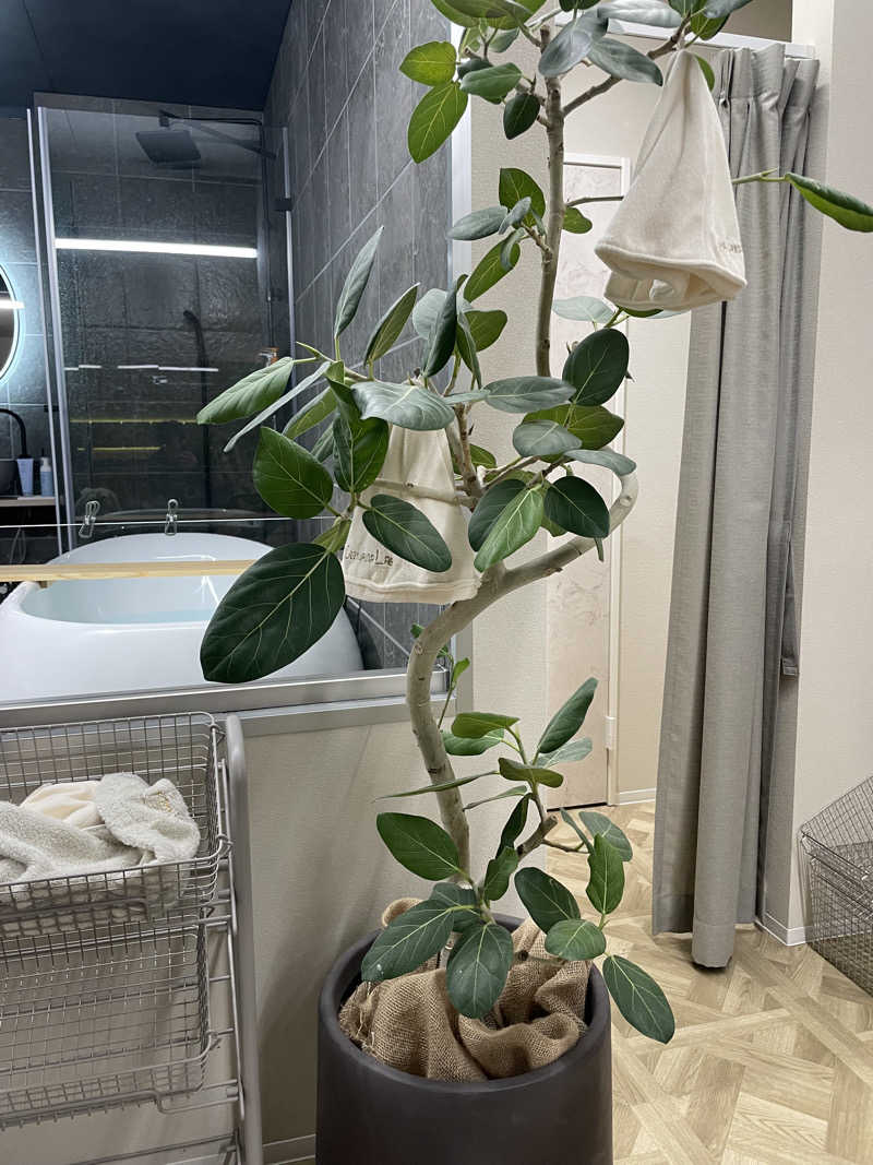 sさんのcozy sauna labのサ活写真