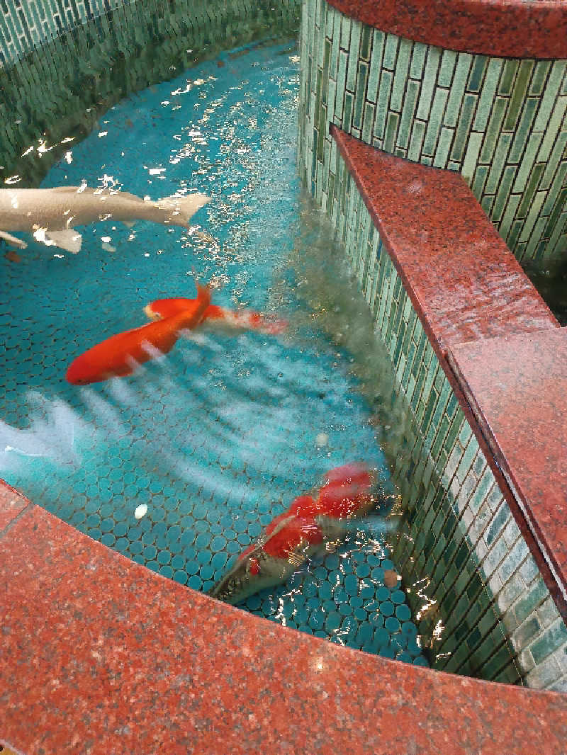 サウナ野郎Kさんの夢の公衆浴場 五色のサ活写真