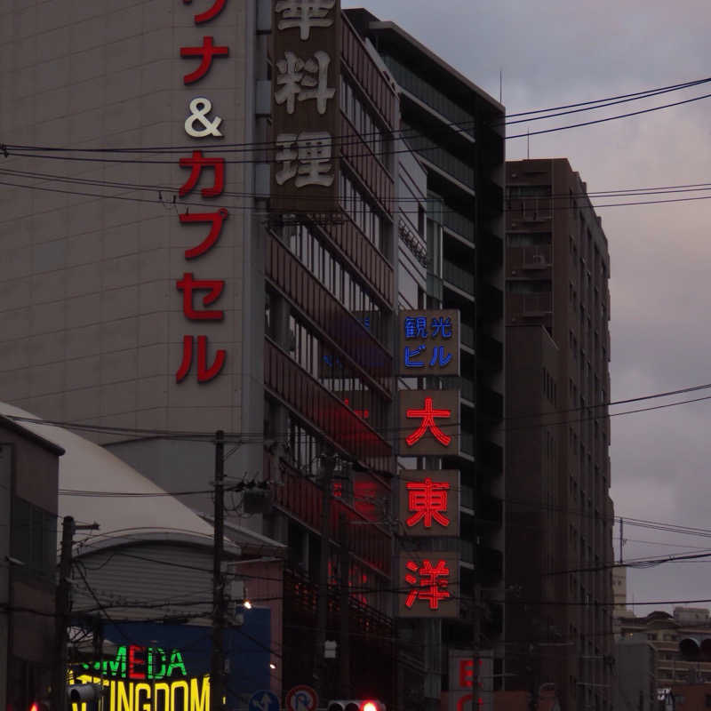 紅生姜さんの大東洋レディススパのサ活写真