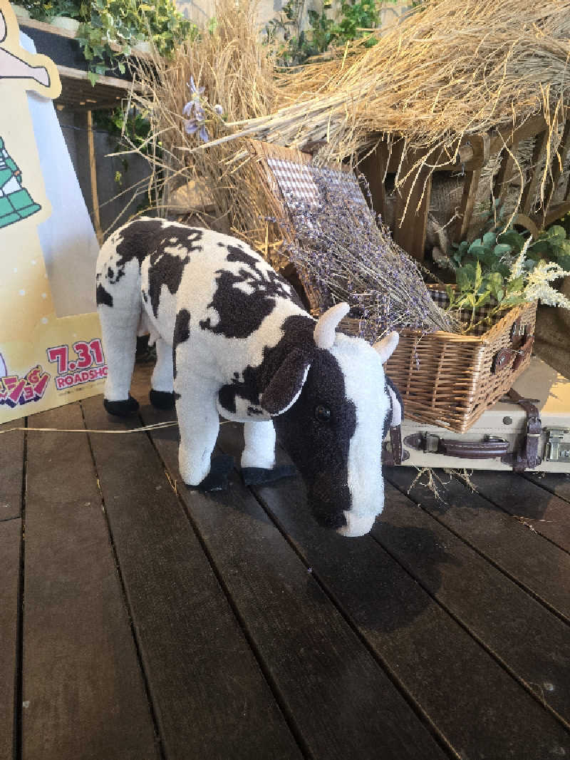 たくちさんのおふろcafé ハレニワの湯のサ活写真
