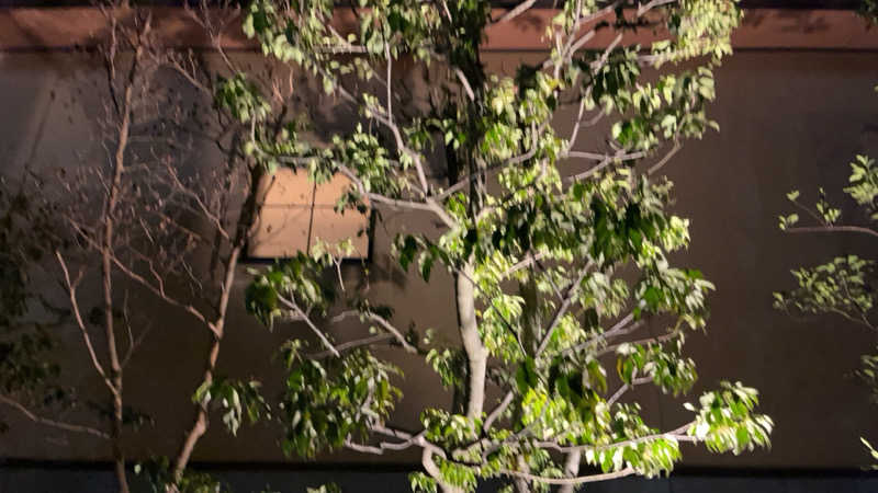 maruchika7さんの野天風呂 湯の郷のサ活写真