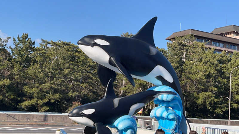 maruchika7さんの鴨川館のサ活写真