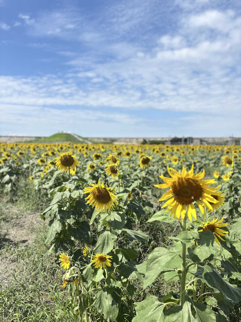 mmさんの天然の湯 あおき温泉のサ活写真