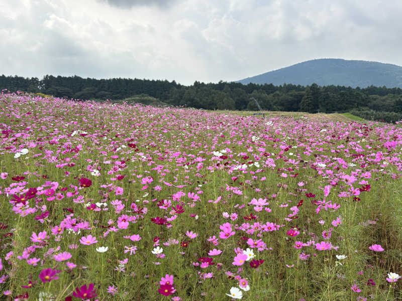 mmさんの垂玉温泉 瀧日和のサ活写真