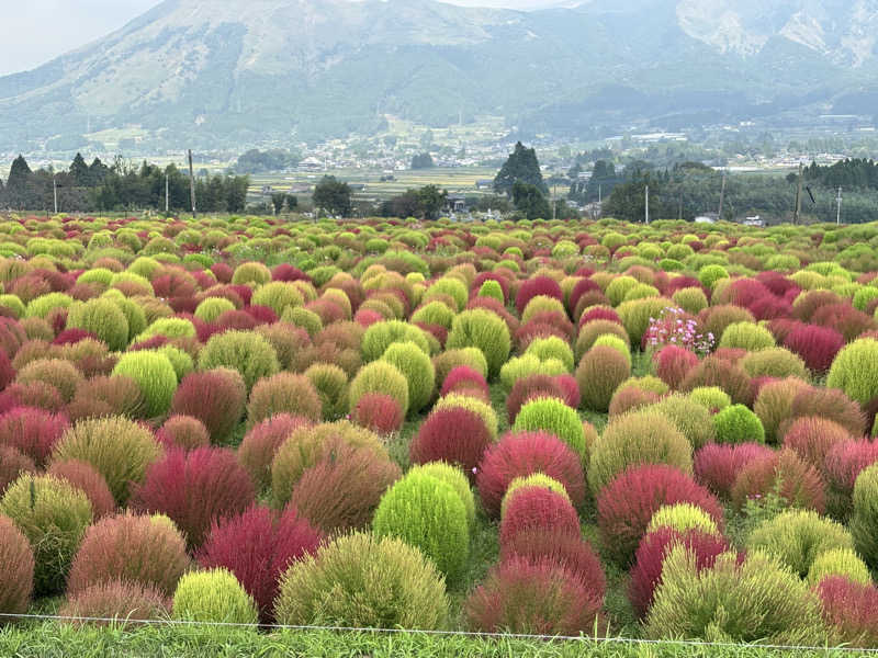 mmさんの垂玉温泉 瀧日和のサ活写真