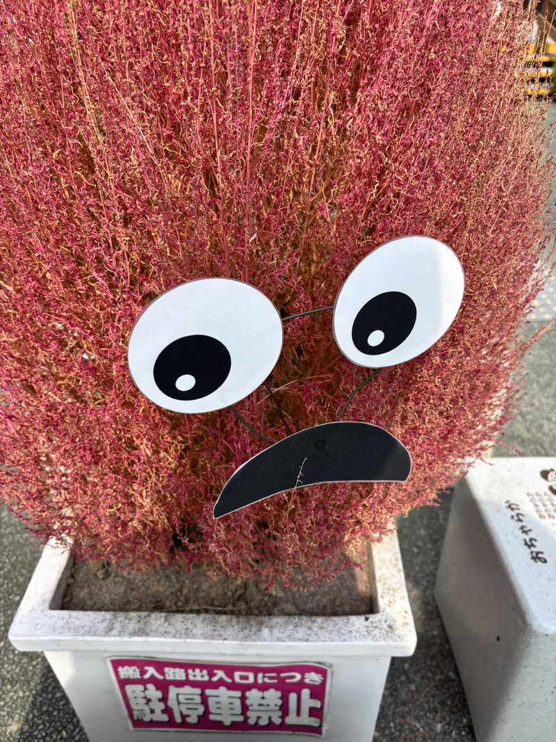 mmさんの垂玉温泉 瀧日和のサ活写真