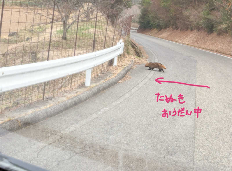 ピヨサウナーさんの大芦高原温泉 雲海のサ活写真