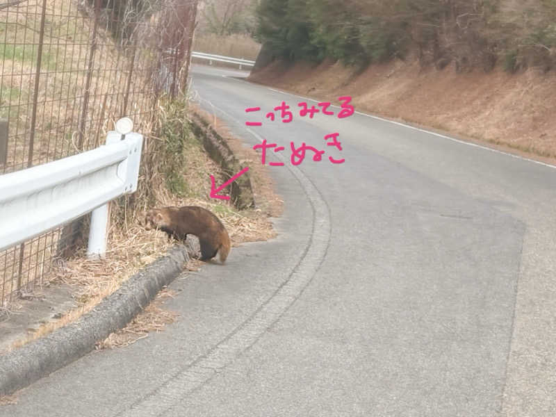 ピヨサウナーさんの大芦高原温泉 雲海のサ活写真
