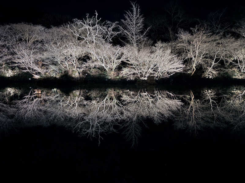 20220111さんの御船山楽園ホテル  らかんの湯のサ活写真