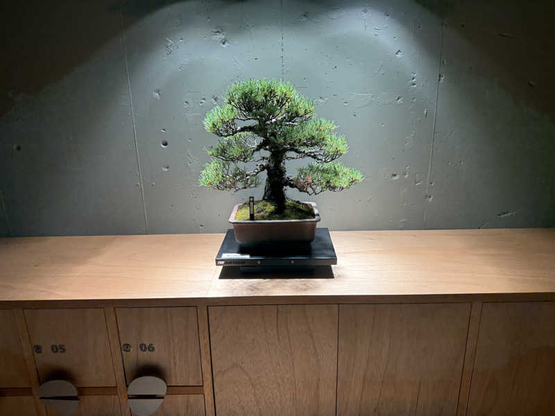 20220111さんのneverendingのサ活写真