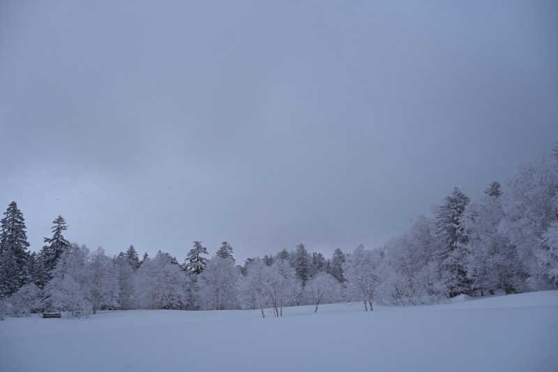 20220111さんの吹上温泉保養センター 白銀荘のサ活写真