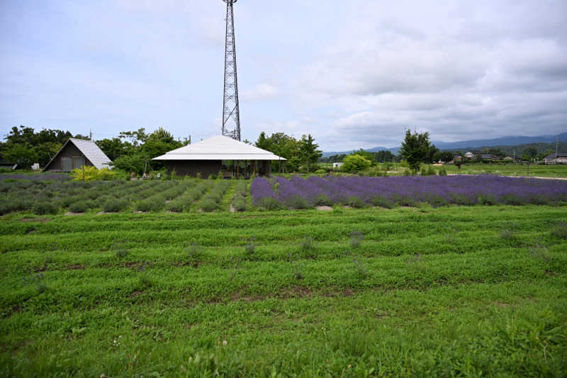 20220111さんのThe Hive SAUNAのサ活写真
