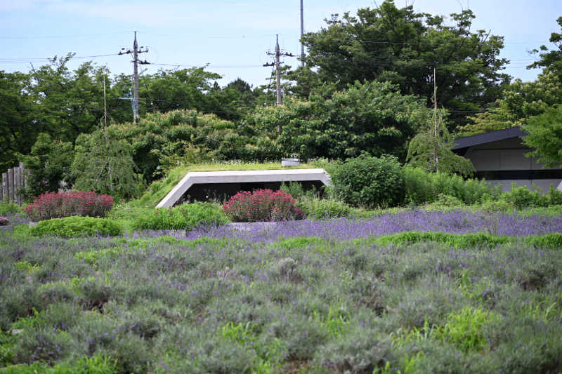 20220111さんのThe Hive SAUNAのサ活写真