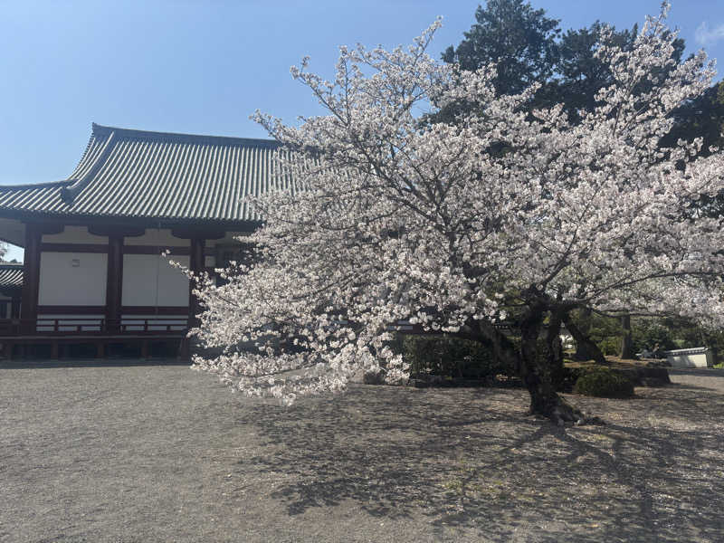 ちーこさんの野天風呂宝の湯のサ活写真