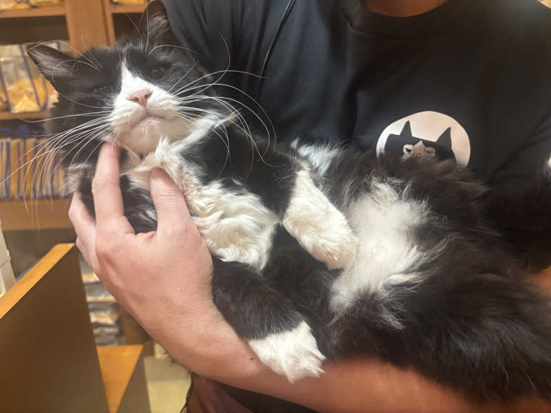 ちーこさんの野天風呂宝の湯のサ活写真