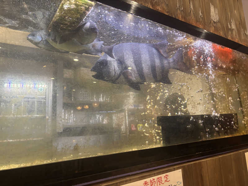 ちーこさんのリヴァージュ・スパひきがわのサ活写真