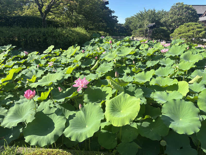 ちーこさんのロワジールホテル 京都東寺のサ活写真