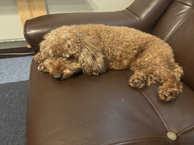 ちーこさんの励明園のサ活写真