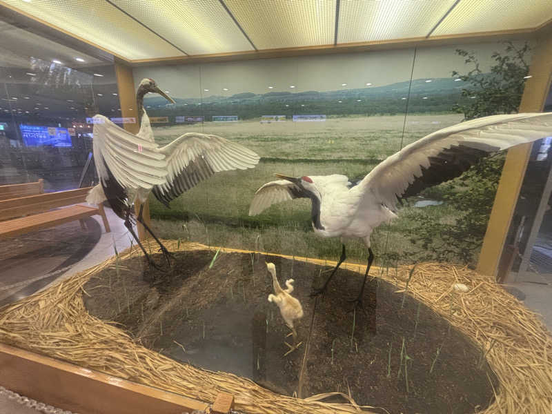 ちーこさんのKIELO SAUNAのサ活写真