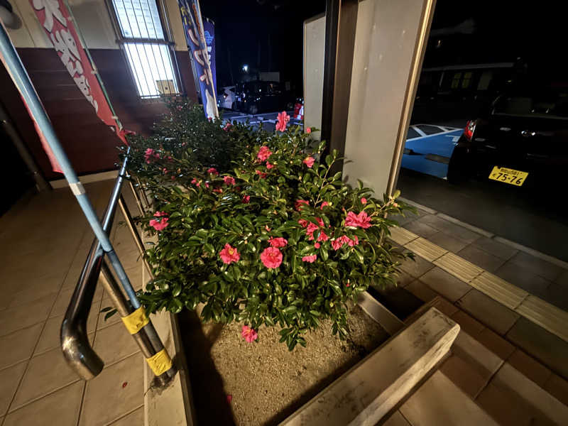 ちーこさんの道の駅 椿はなの湯のサ活写真