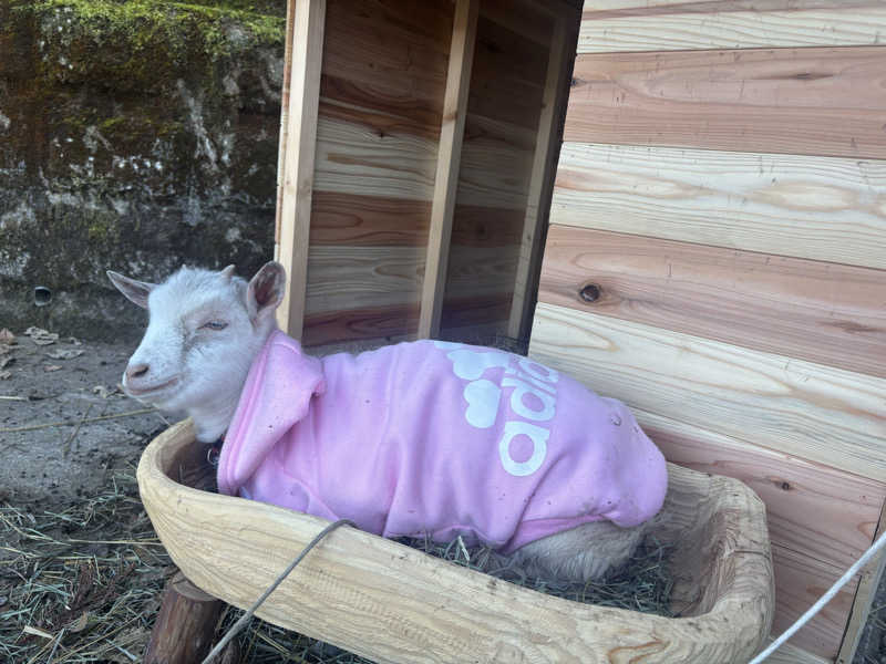 ちーこさんの瀞流荘のサ活写真