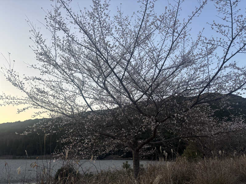 ちーこさんの瀞流荘のサ活写真