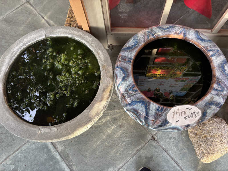 ちーこさんの野天風呂宝の湯のサ活写真