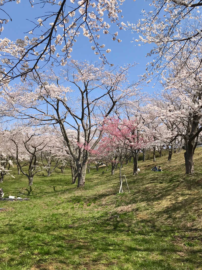 ゆきち♨️さんの仙台湯処 サンピアの湯のサ活写真