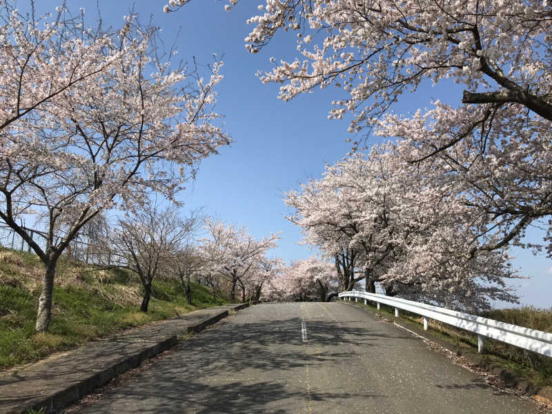 ゆきち♨️さんの仙台湯処 サンピアの湯のサ活写真