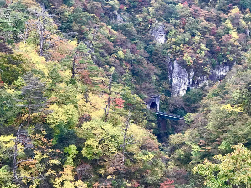 ゆきち♨️さんの天然温泉 仙台コロナの湯のサ活写真