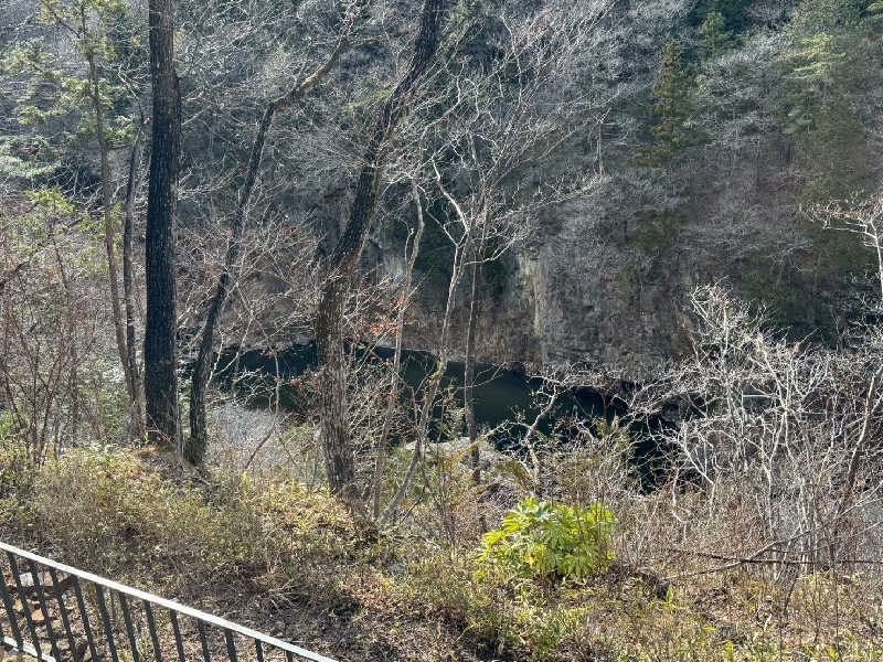 戸崎さまさんの東急ハーヴェストクラブVIALA鬼怒川渓翠のサ活写真
