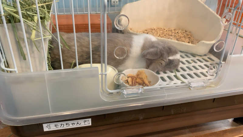 静かなさうなさんのアクアリゾート 岐阜ふじの湯のサ活写真