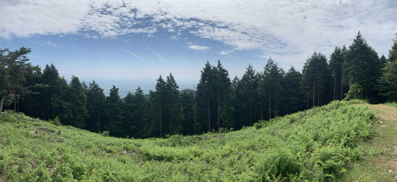 静かなさうなさんの池田温泉 新館のサ活写真