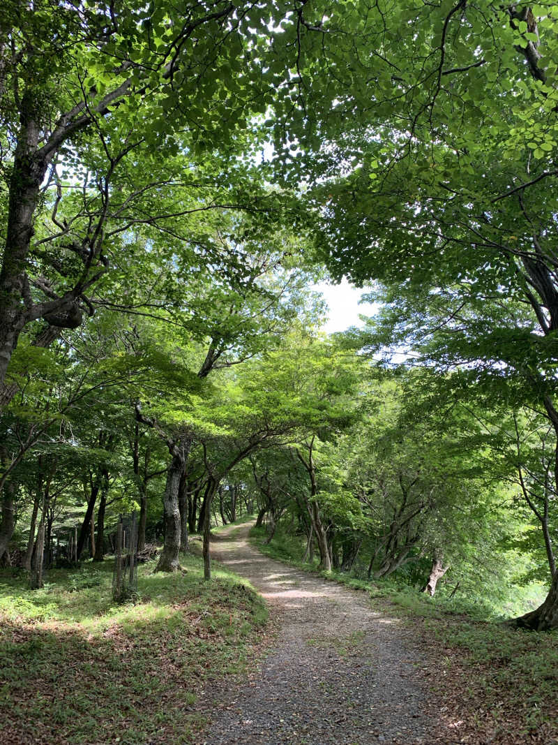 静かなさうなさんの池田温泉 新館のサ活写真