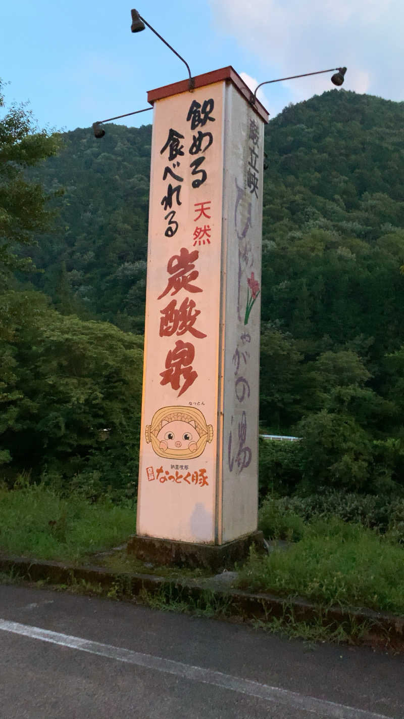 静かなさうなさんの巌立峡 ひめしゃがの湯のサ活写真