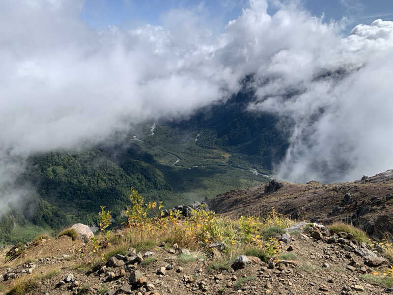 静かなさうなさんのひらゆの森のサ活写真