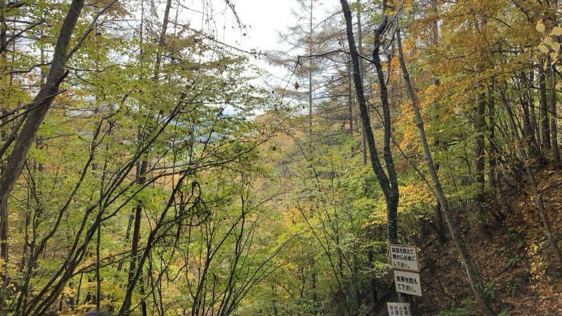 静かなさうなさんの山と渓流の宿 仙流荘のサ活写真