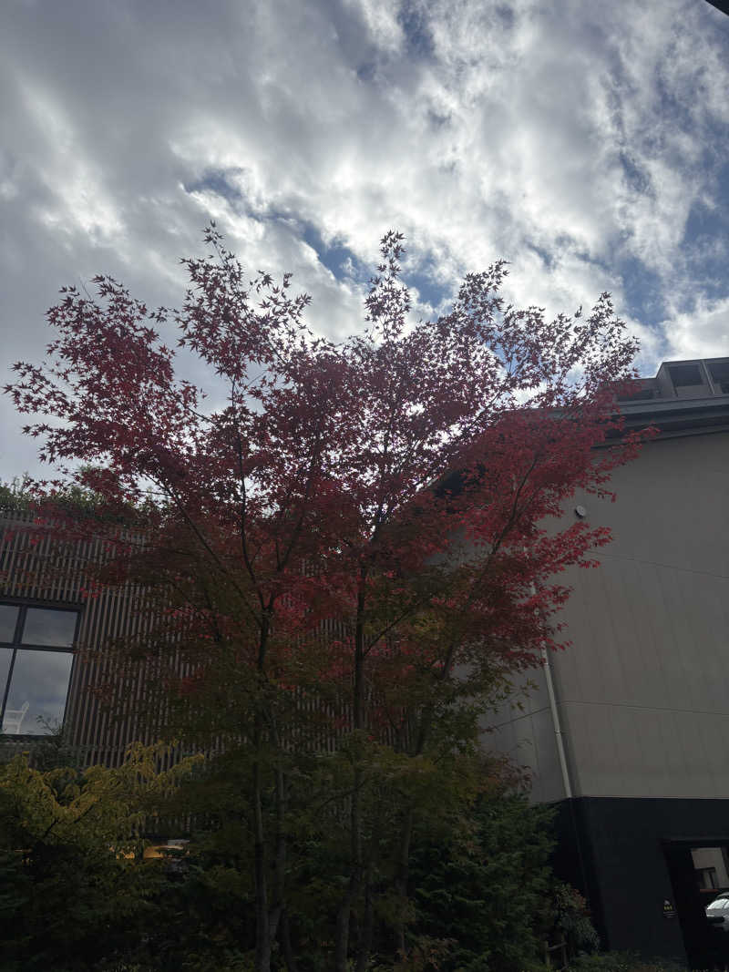 まるさんの綱島源泉 湯けむりの庄のサ活写真