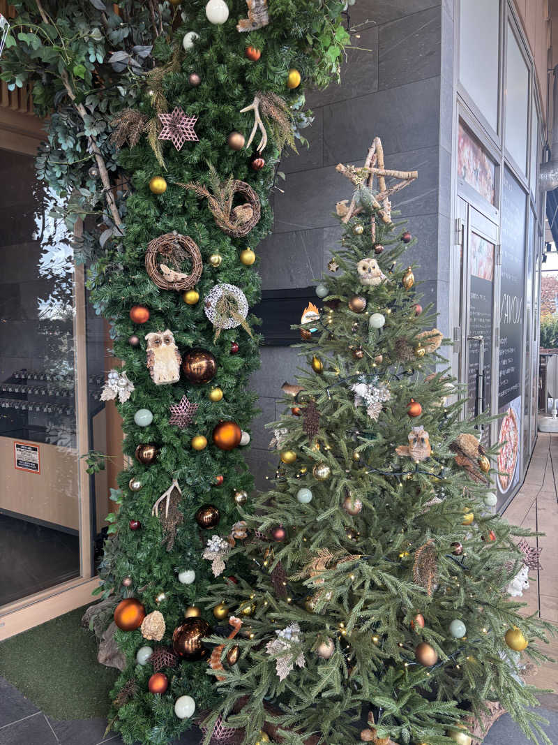 まるさんのスパジアムジャポンのサ活写真