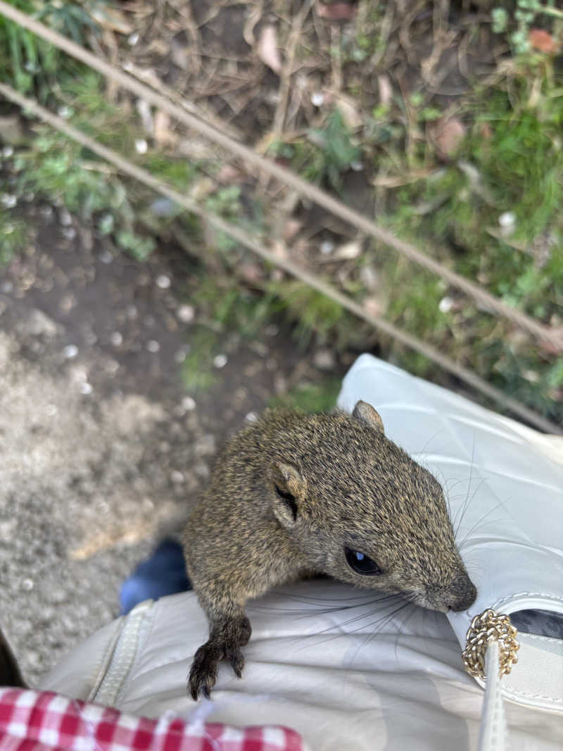 まるさんの横浜青葉温泉 喜楽里別邸のサ活写真