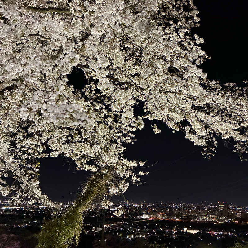 Shinyaさんの観音山サウナ蒸寺のサ活写真