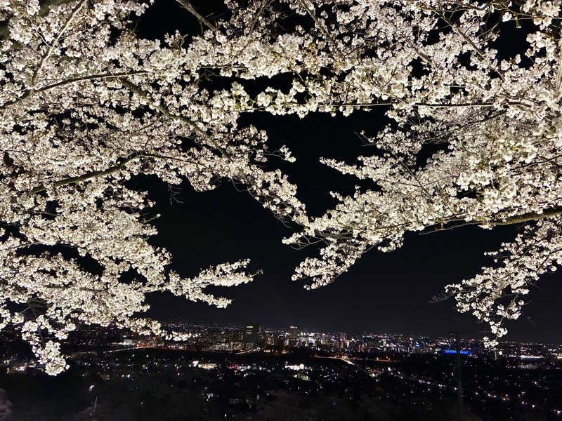 Shinyaさんの観音山サウナ蒸寺のサ活写真