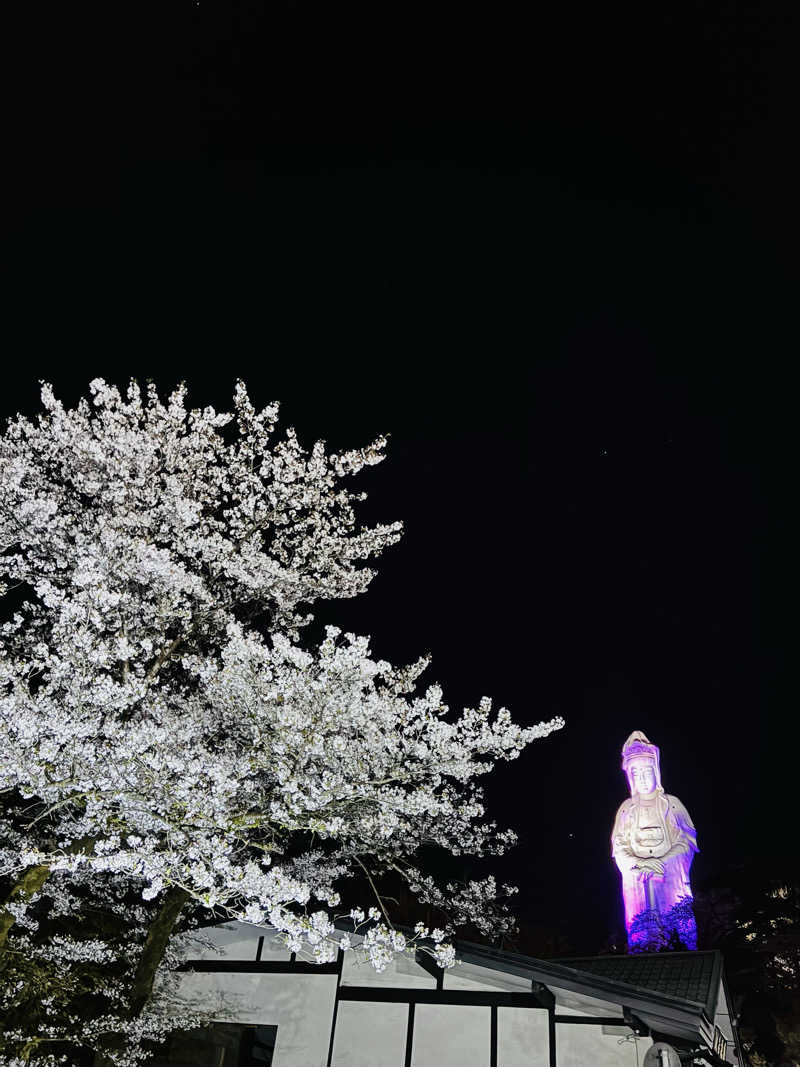 Shinyaさんの観音山サウナ蒸寺のサ活写真