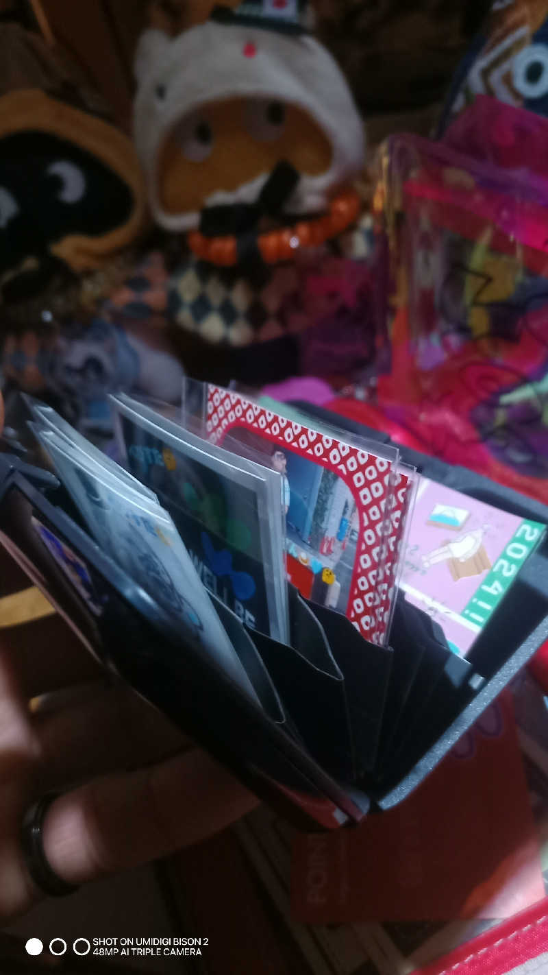 お出掛けサ活♨️べびすた🤔🥃🎯さんの奥山温泉のサ活写真